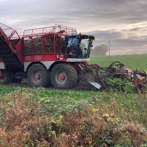 Cath Scott Sugar Beet Harvesting Nov 2021
