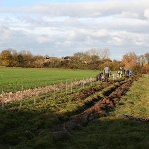 Janet Norman-Philips Planting The Hedge On The Doorstep Green Extension November 2017