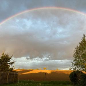 Rob Scott Rainbow