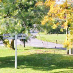 Rob Scott Village Triangle Oct 2021