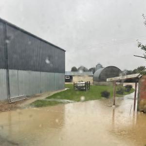 WashFarmGrainStore