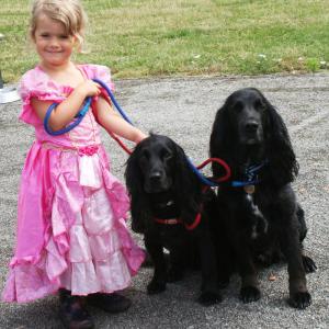 webdogs01a
