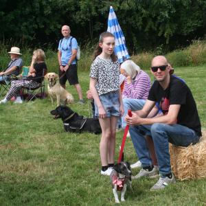 webdogs02