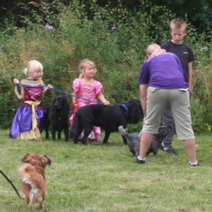 webdogs18