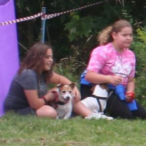 webdogs19