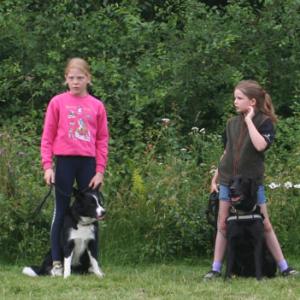 webdogs20
