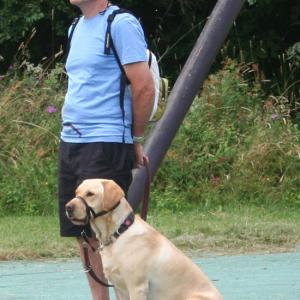webdogs26