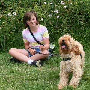 webdogs32