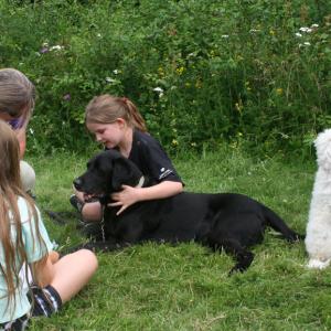 webdogs34