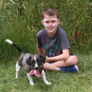 webdogs39