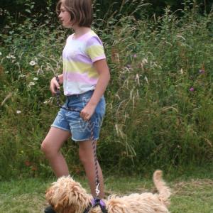 webdogs46