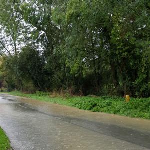 BabetFlowingDownMillRd
